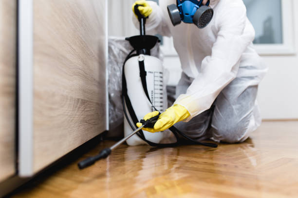 Best Pest Prevention Services  in Morrice, MI