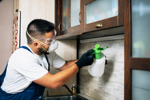Best Affordable Exterminators  in Morrice, MI