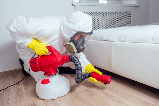 Best Mosquito Control Services  in Morrice, MI